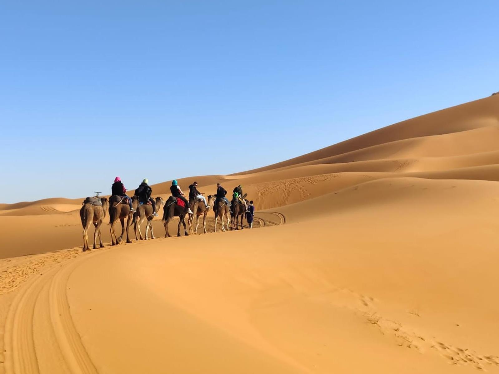 ホテル Erg Chebbi Starlight Camp メルズーガ エクステリア 写真