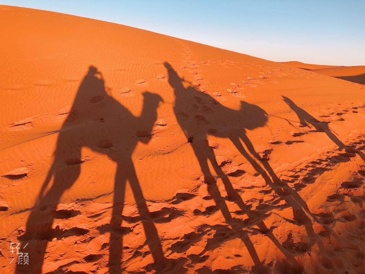 ホテル Erg Chebbi Starlight Camp メルズーガ エクステリア 写真